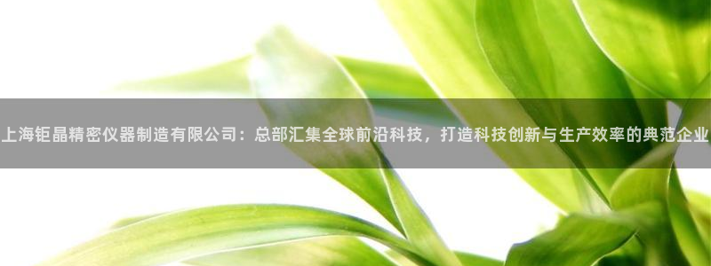 恒行2冯74OOO5：上海钜晶精密仪器制造有限公司：总部汇集