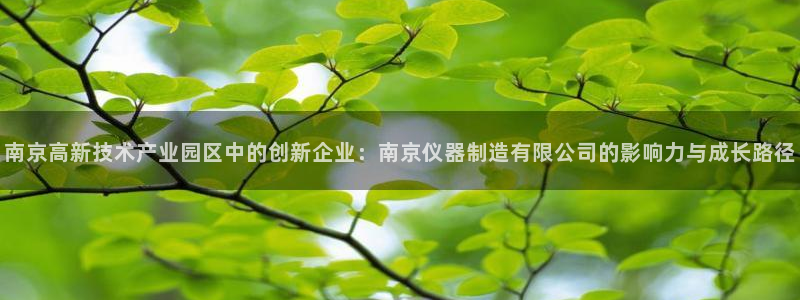 恒行娱乐蜗74ooo5指磁：南京高新技术产业园区中的创新企业