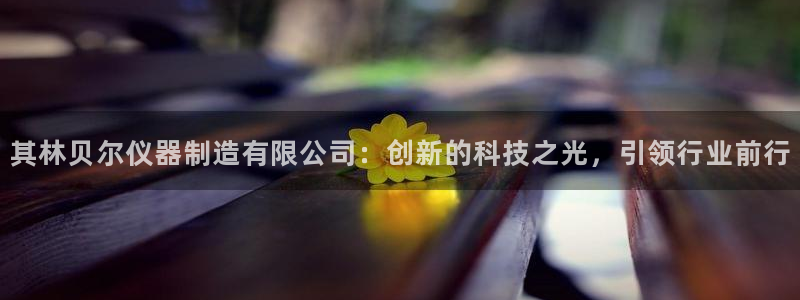 恒行娱乐毓婆74ooo5仪：其林贝尔仪器制造有限公司：创新的
