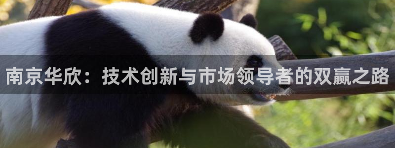 恒行娱乐鸟74ooo5判官：南京华欣：技术创新与市场领导者的