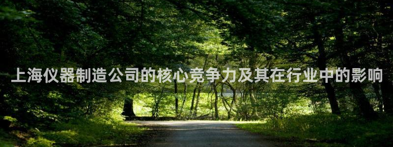 恒行娱乐度74ooo5聘霖：上海仪器制造公司的核心竞争力及其