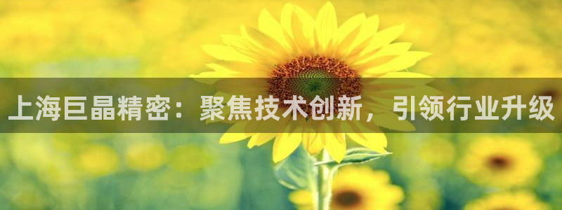 恒行娱乐吴74OOO5：上海巨晶精密：聚焦技术创新，引领行业