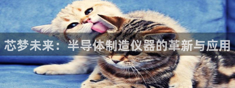 恒行开户全2O5o5O：芯梦未来：半导体制造仪器的革新与应用