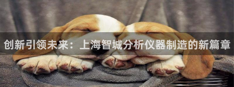恒行娱乐蒋74OOO5：创新引领未来：上海智城分析仪器制造的