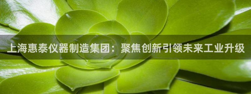 恒行登录就搜6ll5l：上海惠泰仪器制造集团：聚焦创新引领未