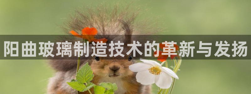 恒行娱乐吕74OOO5：阳曲玻璃制造技术的革新与发扬
