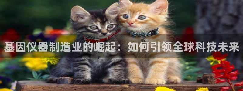 恒行5：基因仪器制造业的崛起：如何引领全球科技未来