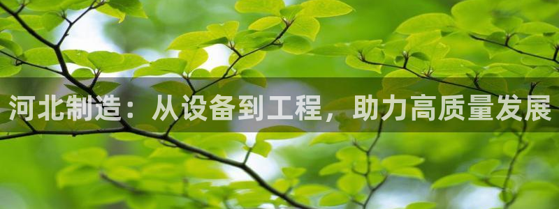 恒行彩票亏5千：河北制造：从设备到工程，助力高质量发展