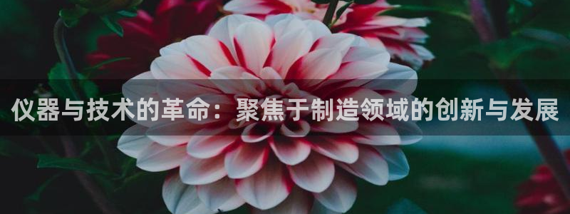 恒行娱乐卫74OOO5：仪器与技术的革命：聚焦于制造领域的创