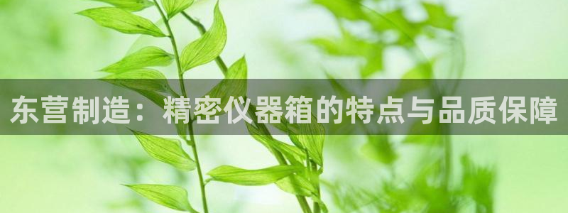 恒行娱乐登录信用 74ooo5：东营制造：精密仪器箱的特点与