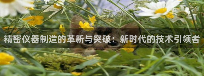 恒行娱乐卫74OOO5：精密仪器制造的革新与突破：新时代的技