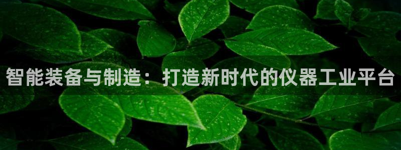 恒行2郑74OOO5：智能装备与制造：打造新时代的仪器工业平