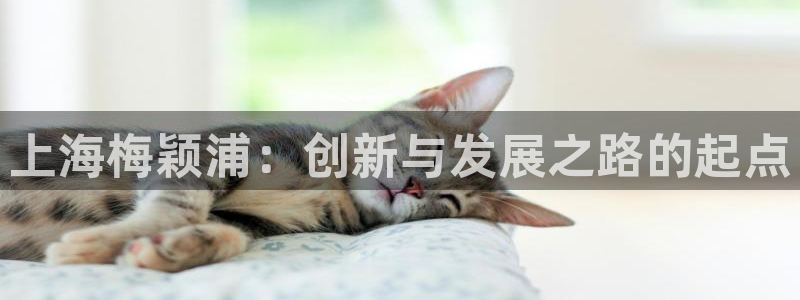 恒行2那74OO5：上海梅颖浦：创新与发展之路的起点