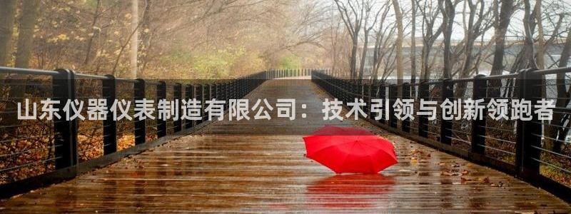 恒行娱乐卫74OOO5：山东仪器仪表制造有限公司：技术引领与