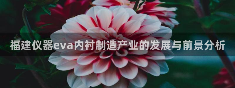 恒行娱乐蜗74ooo5指磁：福建仪器eva内衬制造产业的发展