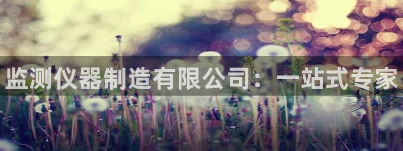 恒行2韩74OOO5：监测仪器制造有限公司：一站式专家