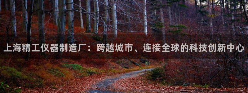恒行2吴74OOO5：上海精工仪器制造厂：跨越城市、连接全球
