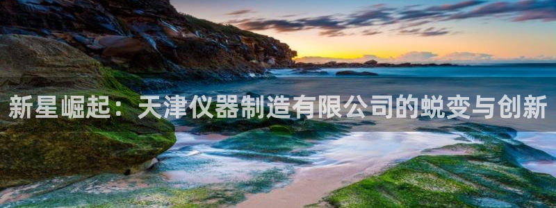 恒行开户娱乐赞议6ll5l：新星崛起：天津仪器制造有限公司的