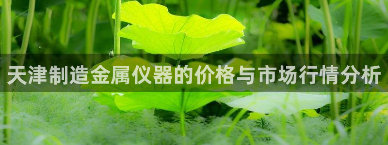 恒行娱乐登录信用 74ooo5：天津制造金属仪器的价格与市场