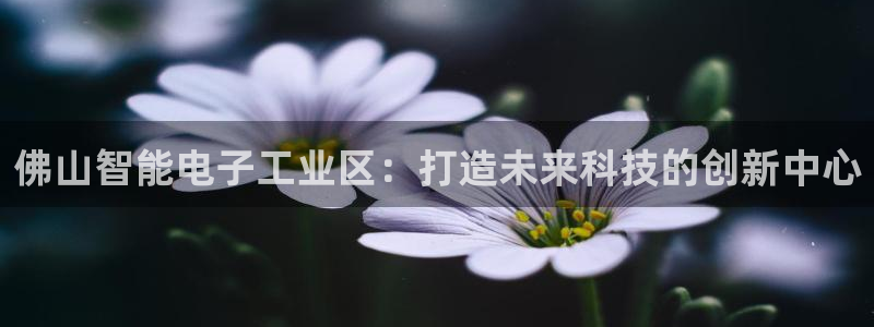 恒行娱乐5ll533主管耐心：佛山智能电子工业区：打造未来科