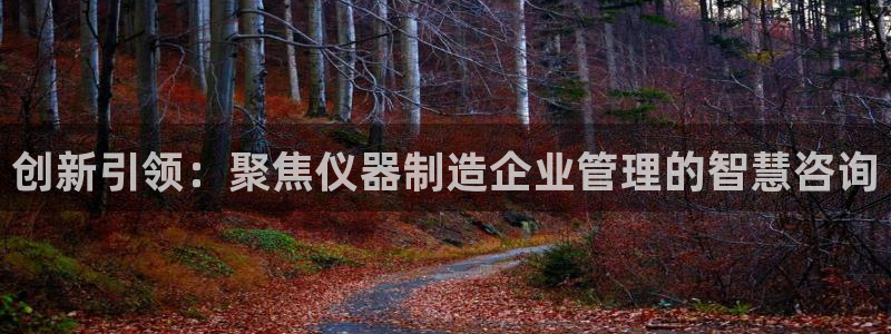 恒行娱乐毓婆74ooo5仪：创新引领：聚焦仪器制造企业管理的