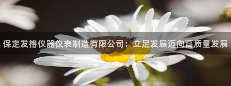 恒行娱乐登录5ll533主管一流：保定发格仪器仪表制造有限公