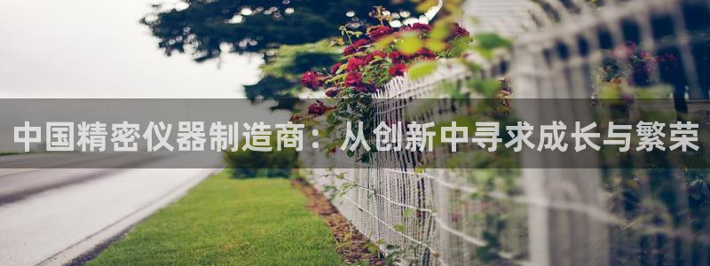 恒行2陈74OOO5：中国精密仪器制造商：从创新中寻求成长与
