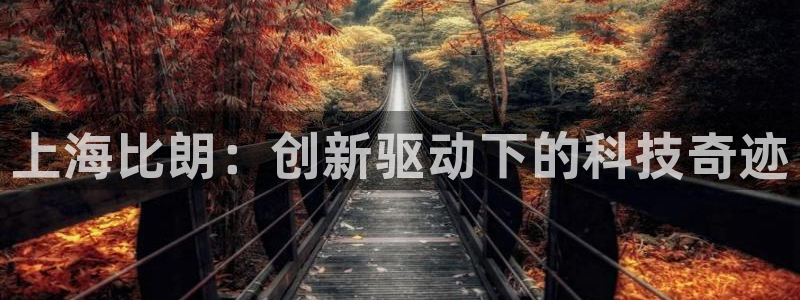 恒行2吕74OOO5：上海比朗：创新驱动下的科技奇迹