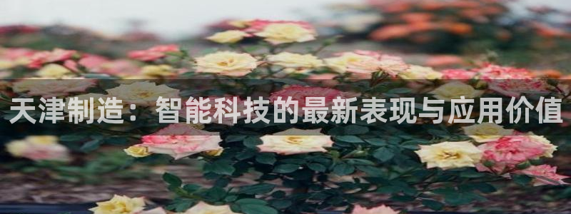 恒行开户全2O5o5O：天津制造：智能科技的最新表现与应用价