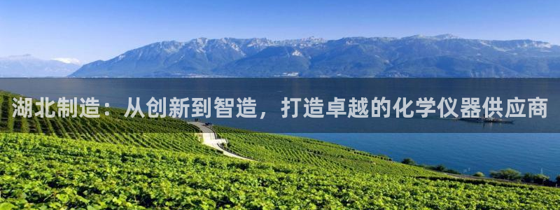恒在5行中代表什么数字：湖北制造：从创新到智造，打造卓越的化