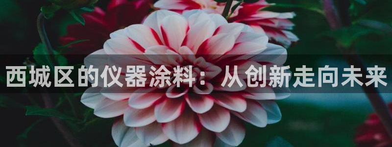 恒行主管招收 6ll5l出奇：西城区的仪器涂料：从创新走向未