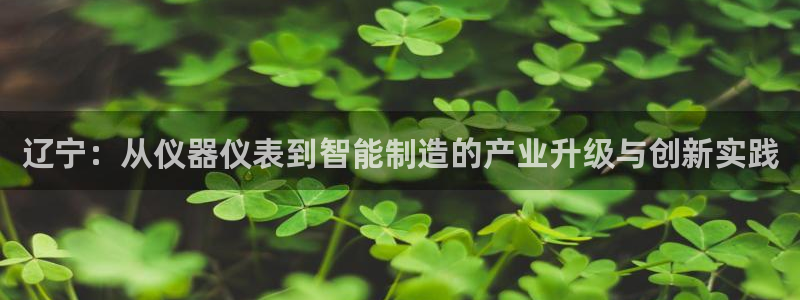 恒行5：辽宁：从仪器仪表到智能制造的产业升级与创新实践