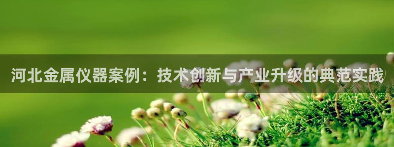 恒行娱乐冯74OOO5：河北金属仪器案例：技术创新与产业升级