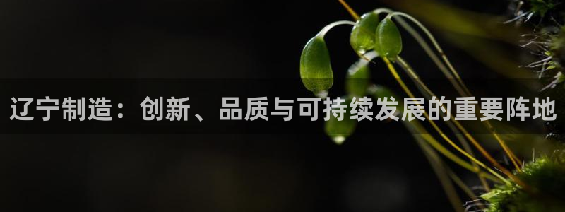 恒行2褚74OOO5：辽宁制造：创新、品质与可持续发展的重要