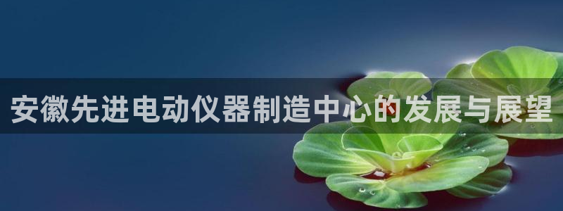 恒行娱乐蜗74ooo5指磁：安徽先进电动仪器制造中心的发展与