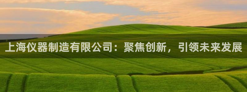 恒行娱乐卫74OOO5：上海仪器制造有限公司：聚焦创新，引领