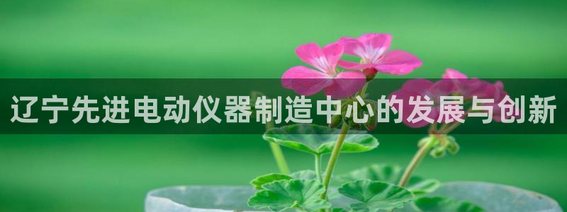 恒行2朱74OOO5：辽宁先进电动仪器制造中心的发展与创新