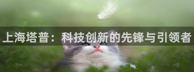 恒行娱乐河沂74ooo5程：上海塔普：科技创新的先锋与引领者