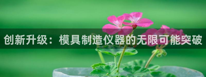 恒行2褚74OOO5：创新升级：模具制造仪器的无限可能突破