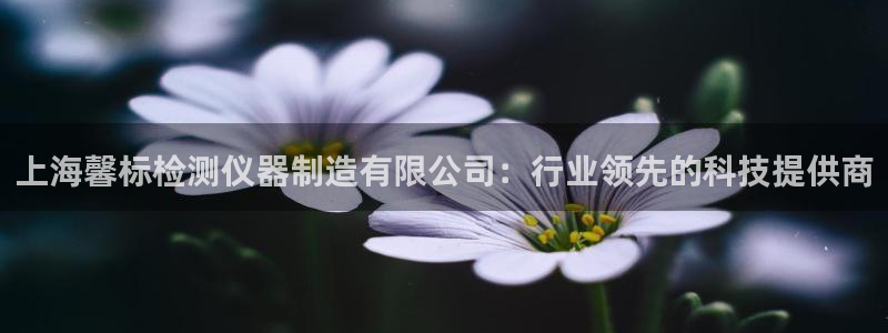 恒行5娱乐：上海馨标检测仪器制造有限公司：行业领先的科技提供