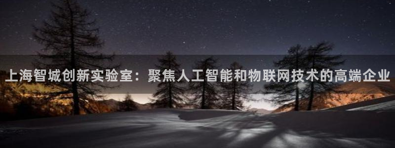 恒行2朱74OOO5：上海智城创新实验室：聚焦人工智能和物联