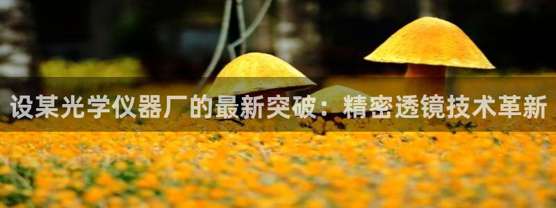 恒行2陈74OOO5：设某光学仪器厂的最新突破：精密透镜技术