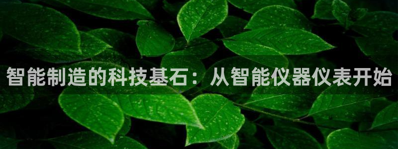 恒行登录老大6ll5l典型：智能制造的科技基石：从智能仪器仪