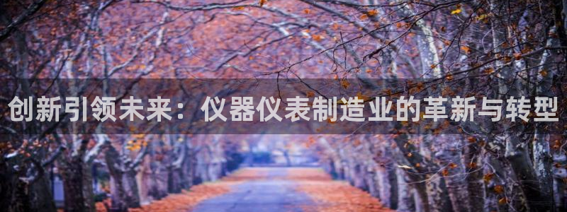 恒行3乃5O6917：创新引领未来：仪器仪表制造业的革新与转