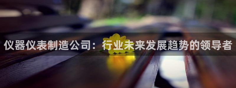 恒行2地74OOO5：仪器仪表制造公司：行业未来发展趋势的领