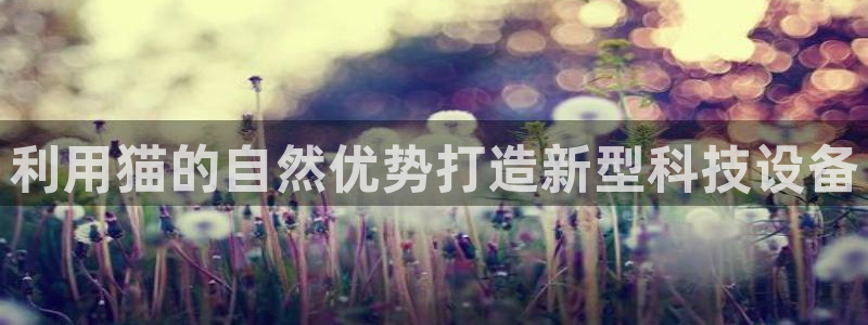 恒行娱乐蒋74OOO5：利用猫的自然优势打造新型科技设备