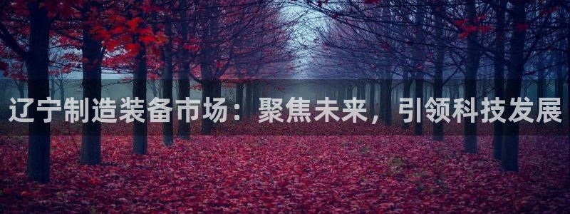 恒行娱乐冯74OOO5：辽宁制造装备市场：聚焦未来，引领科技