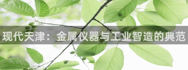 恒行2乃5O6917：现代天津：金属仪器与工业智造的典范