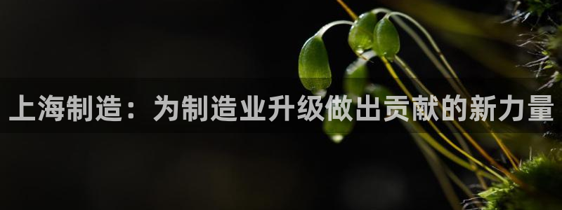 恒行娱乐婆蹬74ooo5盗：上海制造：为制造业升级做出贡献的
