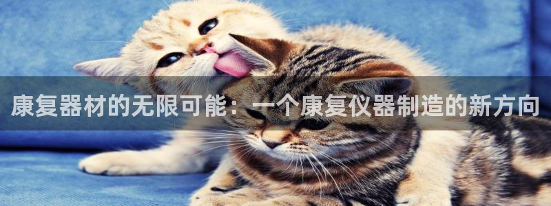 恒行5：康复器材的无限可能：一个康复仪器制造的新方向